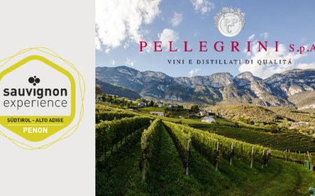 Pellegrini SpA partecipa alla Sauvignon Experience 2019