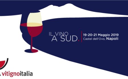 VitignoItalia 2019: conto alla rovescia per l'evento del vino del Sud Italia
