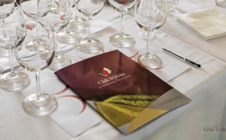 Si conclude con numeri inediti la terza edizione di Ciak Irpinia