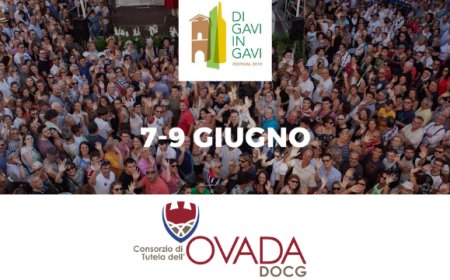 L'Ovada DOCG sarà al "Di Gavi in Gavi Festival"