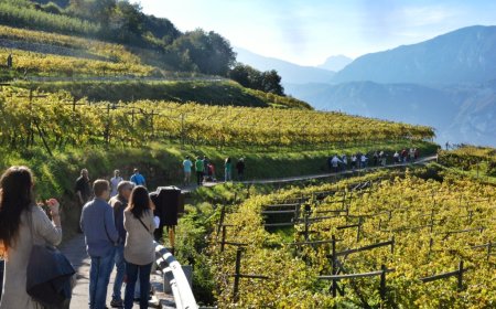 Divin Ottobre: al via domani la 14° rassegna