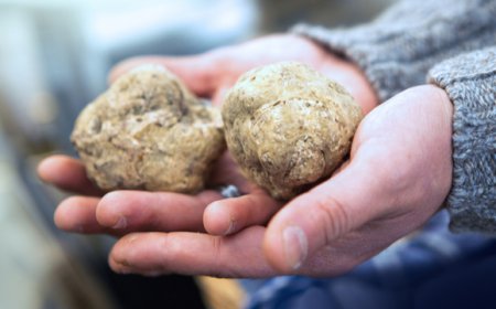 La stagione del Tartufo Bianco celebrata a san Miniato