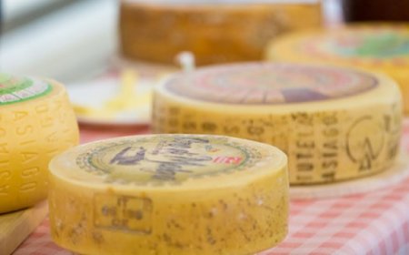 Latterie Vicentine sarà a B2Cheese all'interno di Forme 2019