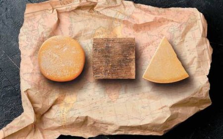 Forme 2019: boom di visitatori e oltre 300 medaglie vinte dall'Italia ai WCA