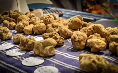 Fiera del Tartufo Bianco d'Alba chiama a raccolta gli chef per creare una rete solidale