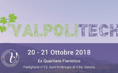 Valpolitech: nella Valpolicella la prima fiera dedicata al vitigno sostenibile