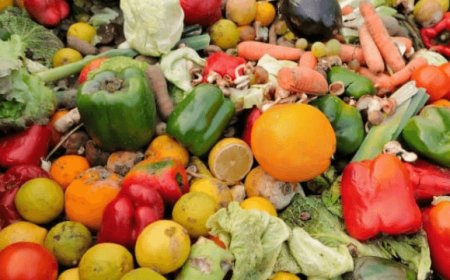 Fao: ogni anno sprecati il 50% di frutta e ortaggi