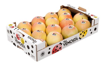 Mela Val Venosta: qualità e sostenibilità nei nuovi imballi FSC