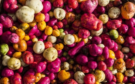 FAO, allarme biodiversità: a rischio il futuro dell'alimentazione