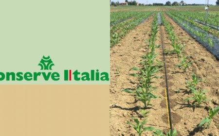 Conserve Italia conclude la sperimentazione per ridurre l'irrigazione in campo del 7%