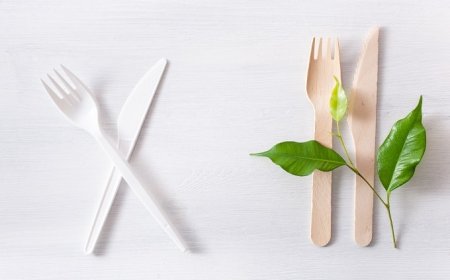 Plastica, usa e getta e consumi: aumenta la sensibilità degli italiani?