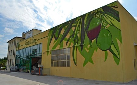 Olio Turri: dalle olive l'energia green