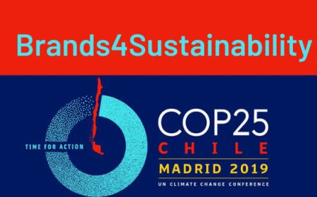 Nasce Brands4Sustainability: allenza tra marchi attenti al futuro del pianeta