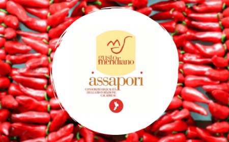 Concetta Greco riconfermata alla guida di Assapori