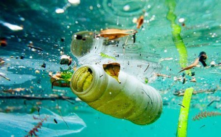 UE dice basta a prodotti di plastica usa e getta: tutte le misure da adottare