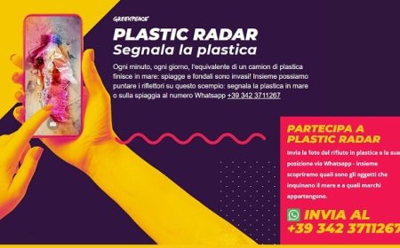 Plastic Radar: segnala la plastica a Greenpeace con Whatsapp