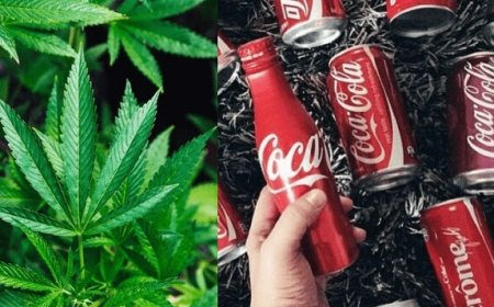 La Coca-Cola alla cannabis potrebbe diventare realtà