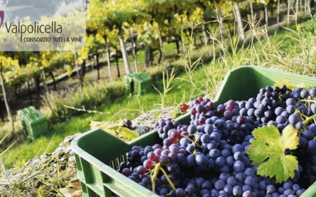 Consorzio Valpolicella trasloca: la nuova sede in provincia di Verona