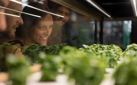 Orti verticali: la nuova moda della ristorazione parte da Brooklyn