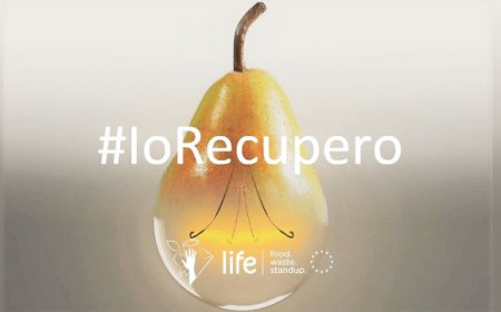 Giornata nazionale contro lo spreco alimentare. La filiera alimentare italiana scende in campo