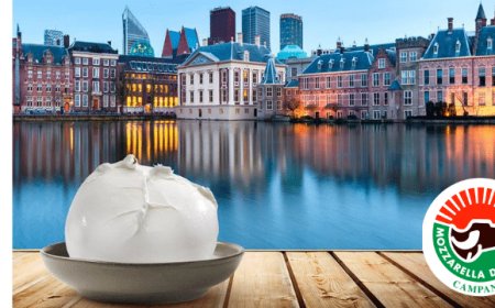Consorzio Mozzarella di Bufala Campana Dop in Olanda contro le frodi