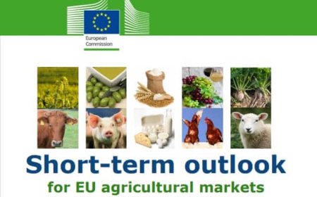 Dati UE sulle produzioni agricole: l'Italia spicca per lo spumante e la soia