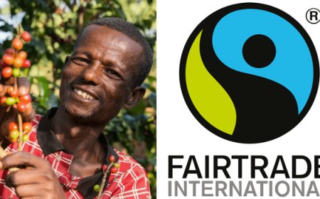 Commercio equo certificato Fairtrade: vendite globali a 7,8 mld di euro
