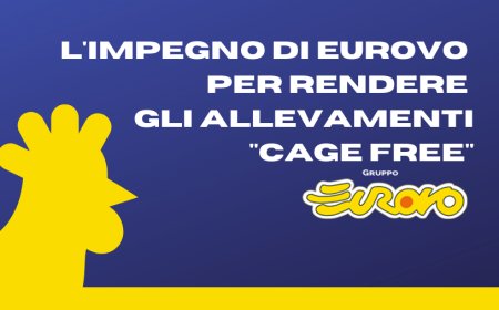 L'impegno di Eurovo per rendere gli allevamenti "cage free"