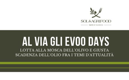 Al via gli EVOO DAYS. Lotta alla mosca dell'olivo e giusta scadenza dell'olio fra i temi d'attualità