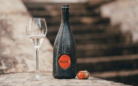 BellusSì, il Blanc de Noir di Bellussi