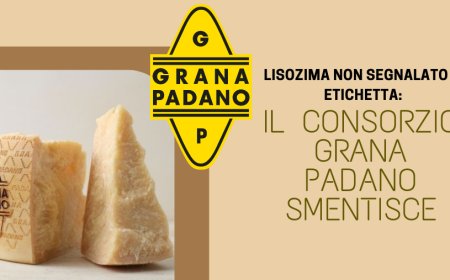 Lisozima non segnalato in etichetta: il Consorzio Grana Padano smentisce