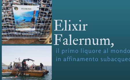 Elixir Falernum, il primo liquore al mondo in affinamento subacqueo