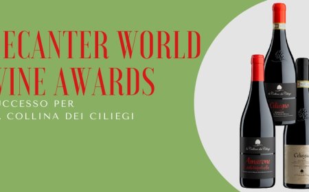 Decanter World Wine Awards: successo per La Collina dei Ciliegi