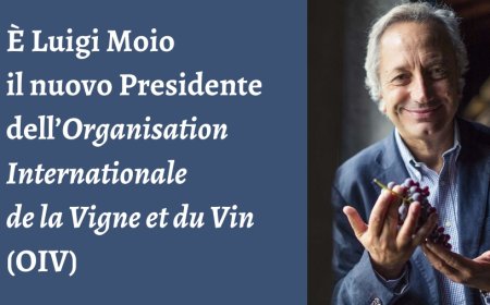 È Luigi Moio il nuovo Presidente dell’Organisation Internationale de la Vigne et du Vin (OIV)