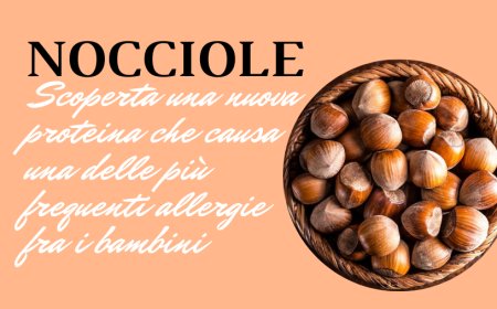 Nocciole. Scoperta una nuova proteina che causa una delle più frequenti allergie fra i bambini