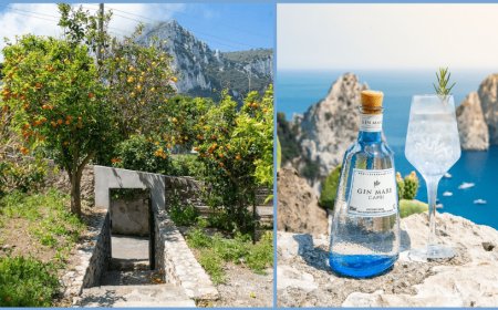 Gin Mare Capri, la nuova release parte da un progetto culturale
