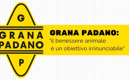 Grana Padano: "il benessere animale è un obiettivo irrinunciabile"