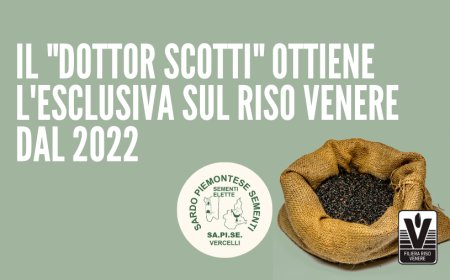 Il "Dottor Scotti" ottiene l'esclusiva sul riso Venere dal 2022