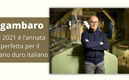 Sgambaro, il 2021 è l’annata perfetta per il grano duro italiano