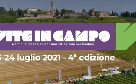 Vite in Campo: l'appuntamento con la viticoltura green