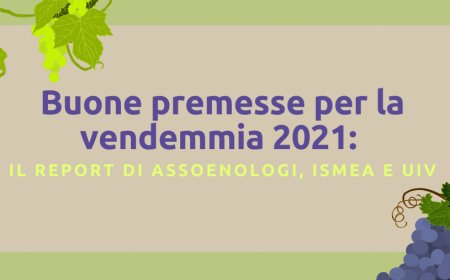 Buone premesse per la vendemmia 2021: il report di Assoenologi, Ismea e UIV
