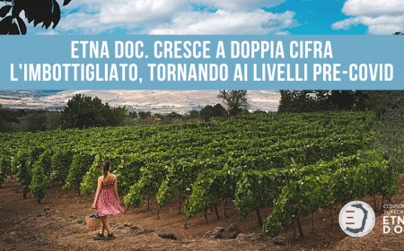 Etna DOC. Cresce a doppia cifra l'imbottigliato, tornando ai livelli pre-Covid