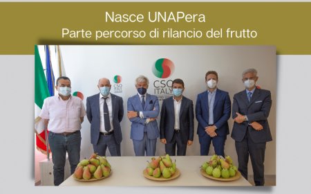 Nasce UNAPera. Parte percorso di rilancio del frutto
