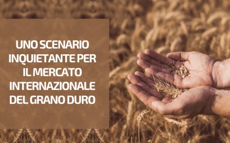 Uno scenario inquietante per il mercato internazionale del grano duro