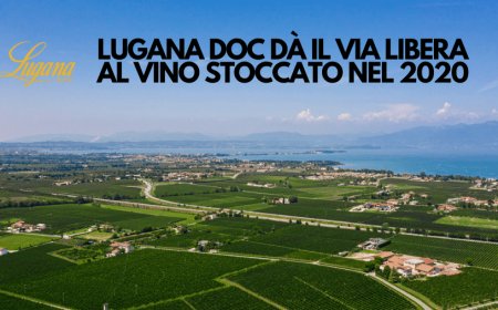 Lugana Doc dà il via libera al vino stoccato nel 2020