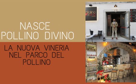 Nasce “Pollino DiVino”, la nuova vineria nel Parco del Pollino