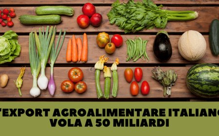 L'export agroalimentare italiano vola a 50 miliardi. Le stime fanno ben sperare