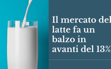 Il mercato del latte fa un balzo in avanti del 13%