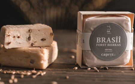 BRASii, il formaggio dal gusto unico di malto e birra FORST