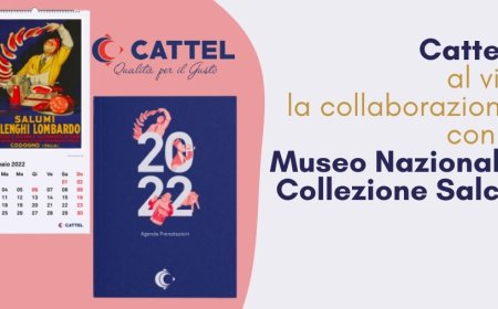 Cattel: al via la collaborazione con il Museo Nazionale Collezione Salce